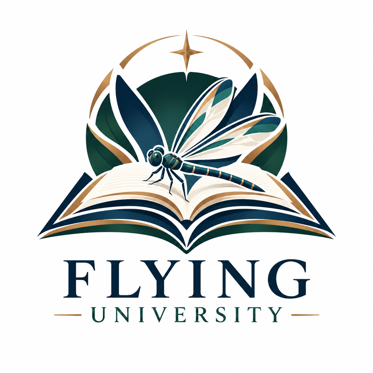 Flying University logo
